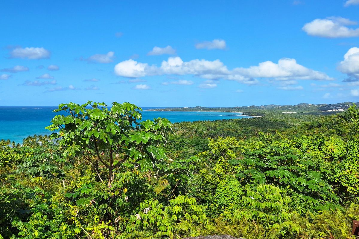 naturaleza republica dominicana